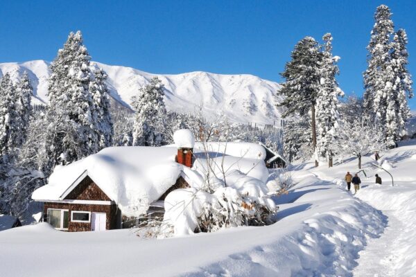 Kashmir Splendors 6Nights 7Days With Travel Arc - Image 1